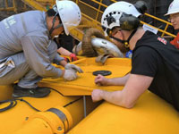 上海朗信,助力海洋石油施工建設交付波浪補償器